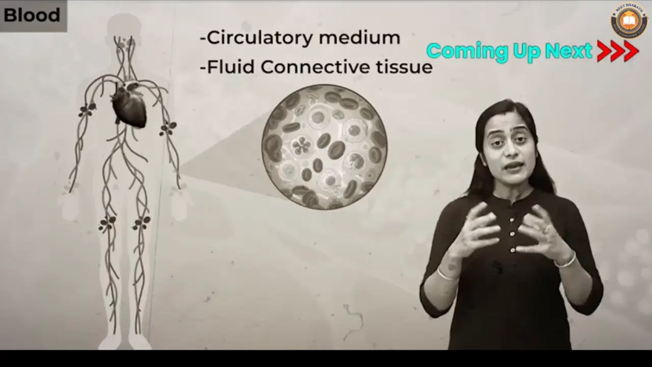 Video Lectures For Class 11 Biology Janakpuri, Delhi-Biology Class 11 video, Biology Class 11 video lectures, Biology video lectures for Class 11, Biology video for Class 11, video lectures For Biology Class 11, Biology lectures Class 11, Biology classroom lectures Class 11, best Biology video lectures for Class 11, best Biology lectures for Class 11, grade 11 Biology videos, Class 11 Biology chapter 1 video, Class 11 Biology chapter 2 video, Class 11 Biology chapter 3 video, Biology Class 11 video lectures free download, Biology Class 11 animation video, animation video for Class 11, neet, science, coaching classes, tutors, competitive exam preparation, study center, learning center, best coaching, top coaching, online coaching, offline coaching, Study Material, Books, DVDs, Video Lectures