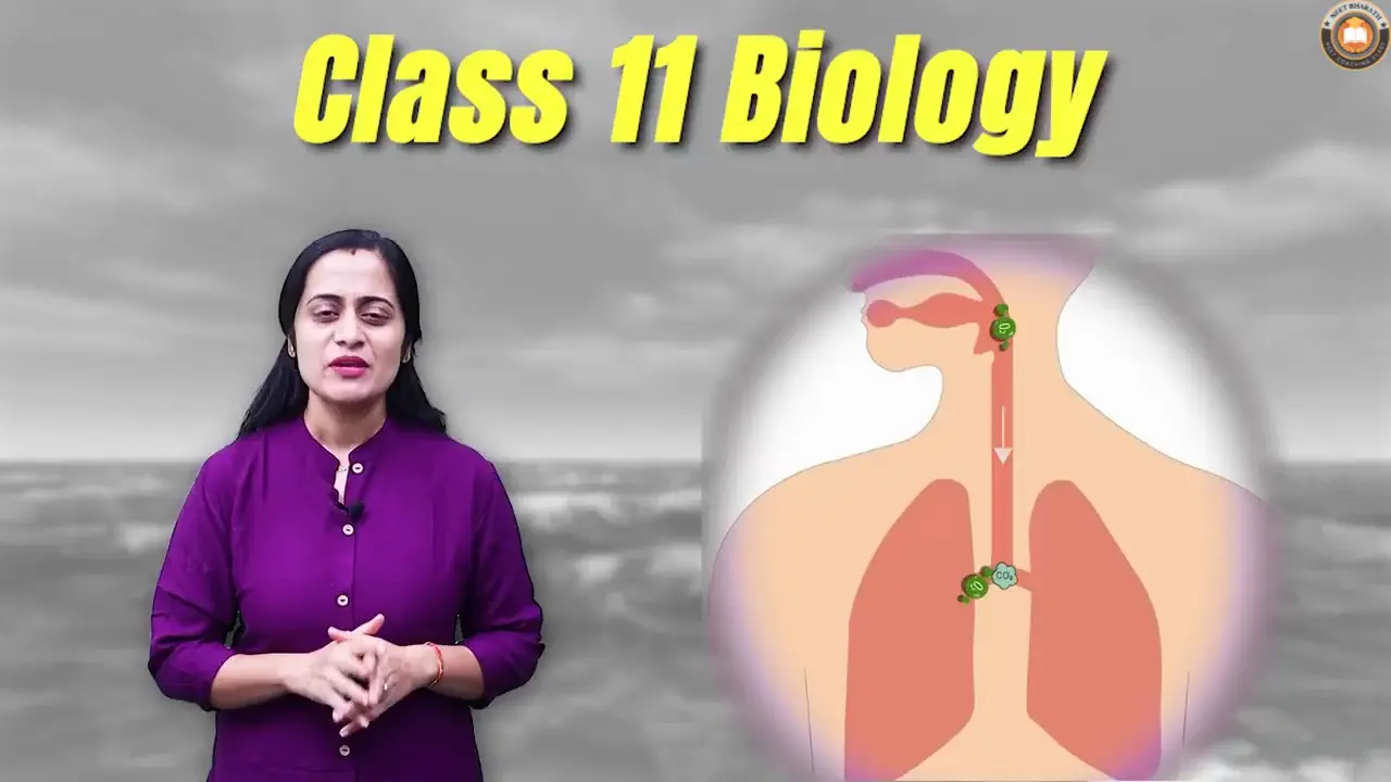 Video Lectures For Class 11 Biology Janakpuri, Delhi-Biology Class 11 video, Biology Class 11 video lectures, Biology video lectures for Class 11, Biology video for Class 11, video lectures For Biology Class 11, Biology lectures Class 11, Biology classroom lectures Class 11, best Biology video lectures for Class 11, best Biology lectures for Class 11, grade 11 Biology videos, Class 11 Biology chapter 1 video, Class 11 Biology chapter 2 video, Class 11 Biology chapter 3 video, Biology Class 11 video lectures free download, Biology Class 11 animation video, animation video for Class 11, neet, science, coaching classes, tutors, competitive exam preparation, study center, learning center, best coaching, top coaching, online coaching, offline coaching, Study Material, Books, DVDs, Video Lectures