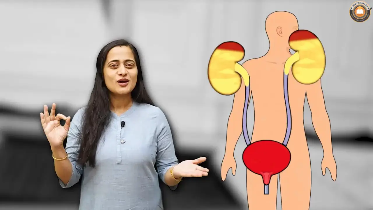 Video Lectures For Class 11 Biology Janakpuri, Delhi-Biology Class 11 video, Biology Class 11 video lectures, Biology video lectures for Class 11, Biology video for Class 11, video lectures For Biology Class 11, Biology lectures Class 11, Biology classroom lectures Class 11, best Biology video lectures for Class 11, best Biology lectures for Class 11, grade 11 Biology videos, Class 11 Biology chapter 1 video, Class 11 Biology chapter 2 video, Class 11 Biology chapter 3 video, Biology Class 11 video lectures free download, Biology Class 11 animation video, animation video for Class 11, neet, science, coaching classes, tutors, competitive exam preparation, study center, learning center, best coaching, top coaching, online coaching, offline coaching, Study Material, Books, DVDs, Video Lectures