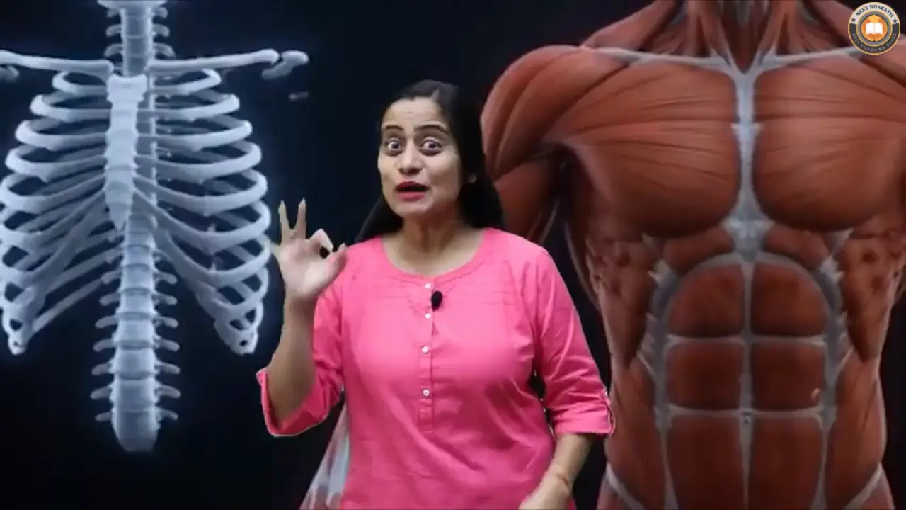 Video Lectures For Class 11 Biology Janakpuri, Delhi-Biology Class 11 video, Biology Class 11 video lectures, Biology video lectures for Class 11, Biology video for Class 11, video lectures For Biology Class 11, Biology lectures Class 11, Biology classroom lectures Class 11, best Biology video lectures for Class 11, best Biology lectures for Class 11, grade 11 Biology videos, Class 11 Biology chapter 1 video, Class 11 Biology chapter 2 video, Class 11 Biology chapter 3 video, Biology Class 11 video lectures free download, Biology Class 11 animation video, animation video for Class 11, neet, science, coaching classes, tutors, competitive exam preparation, study center, learning center, best coaching, top coaching, online coaching, offline coaching, Study Material, Books, DVDs, Video Lectures