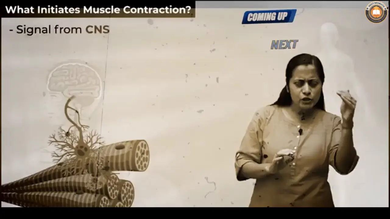 Video Lectures For Class 11 Biology Janakpuri, Delhi-Biology Class 11 video, Biology Class 11 video lectures, Biology video lectures for Class 11, Biology video for Class 11, video lectures For Biology Class 11, Biology lectures Class 11, Biology classroom lectures Class 11, best Biology video lectures for Class 11, best Biology lectures for Class 11, grade 11 Biology videos, Class 11 Biology chapter 1 video, Class 11 Biology chapter 2 video, Class 11 Biology chapter 3 video, Biology Class 11 video lectures free download, Biology Class 11 animation video, animation video for Class 11, neet, science, coaching classes, tutors, competitive exam preparation, study center, learning center, best coaching, top coaching, online coaching, offline coaching, Study Material, Books, DVDs, Video Lectures