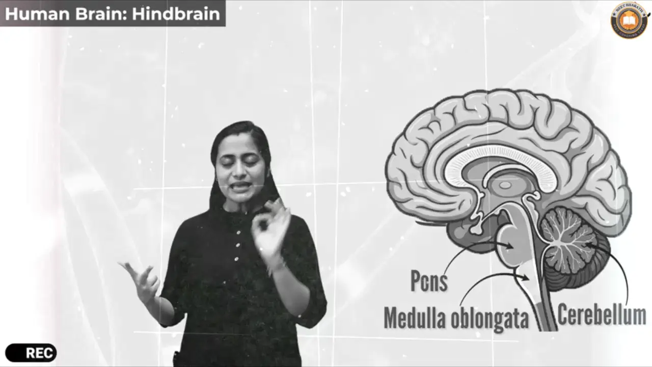 Video Lectures For Class 11 Biology Janakpuri, Delhi-Biology Class 11 video, Biology Class 11 video lectures, Biology video lectures for Class 11, Biology video for Class 11, video lectures For Biology Class 11, Biology lectures Class 11, Biology classroom lectures Class 11, best Biology video lectures for Class 11, best Biology lectures for Class 11, grade 11 Biology videos, Class 11 Biology chapter 1 video, Class 11 Biology chapter 2 video, Class 11 Biology chapter 3 video, Biology Class 11 video lectures free download, Biology Class 11 animation video, animation video for Class 11, neet, science, coaching classes, tutors, competitive exam preparation, study center, learning center, best coaching, top coaching, online coaching, offline coaching, Study Material, Books, DVDs, Video Lectures