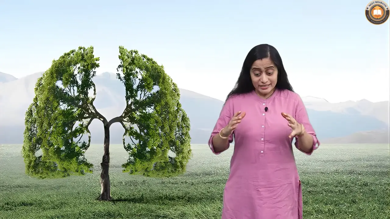 Video Lectures For Class 11 Biology Janakpuri, Delhi-Biology Class 11 video, Biology Class 11 video lectures, Biology video lectures for Class 11, Biology video for Class 11, video lectures For Biology Class 11, Biology lectures Class 11, Biology classroom lectures Class 11, best Biology video lectures for Class 11, best Biology lectures for Class 11, grade 11 Biology videos, Class 11 Biology chapter 1 video, Class 11 Biology chapter 2 video, Class 11 Biology chapter 3 video, Biology Class 11 video lectures free download, Biology Class 11 animation video, animation video for Class 11, neet, science, coaching classes, tutors, competitive exam preparation, study center, learning center, best coaching, top coaching, online coaching, offline coaching, Study Material, Books, DVDs, Video Lectures