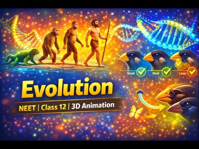Evolution Class 12th Biology Animated Video Lectures For Neet exam In Delhi NCERT Book CBSE Syllabus Online Neet Coaching