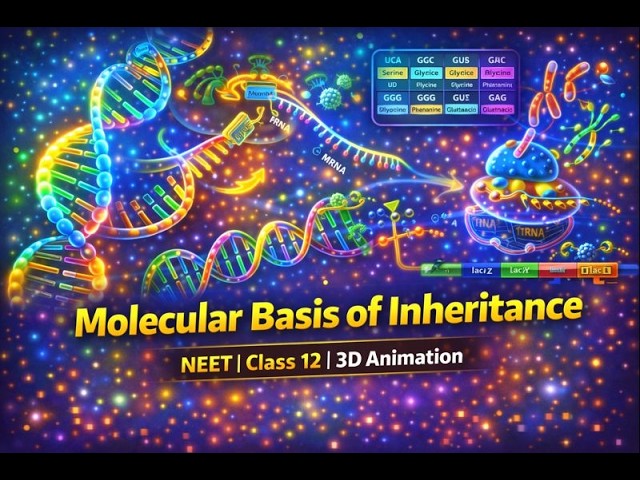 Molecular Basis of Inheritance Part 1 Class 12th Biology Animated Video Lectures For Neet exam In Delhi NCERT Book CBSE Syllabus Online Neet Coaching