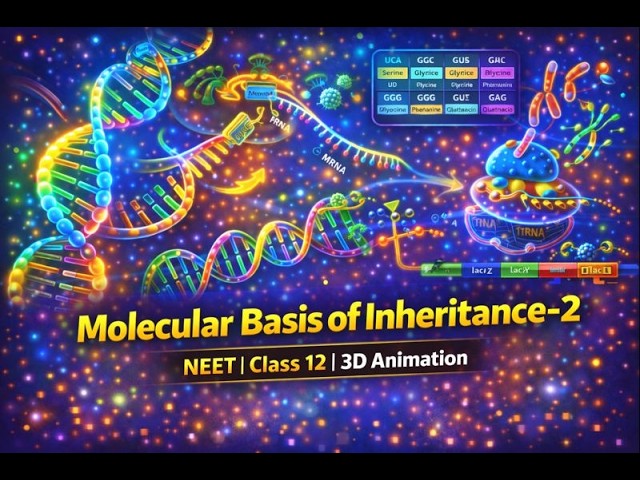 Molecular Basis of Inheritance Part 2 Class 12th Biology Animated Video Lectures For Neet exam In Delhi NCERT Book CBSE Syllabus Online Neet Coaching