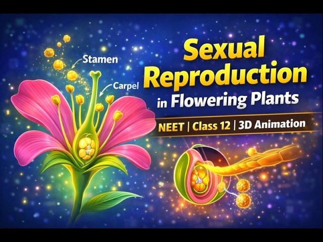 Sexual Reproduction in Flowering Plants Video #1 | Neet Biology Animation | Class 12th Biology Animated Video Lecture (Online Neet Coaching)
