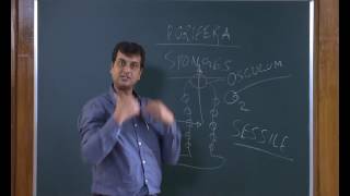 Breathing and Exchange of Gases Class 11th Biology Video Lectures For Neet exam In Delhi NCERT Book CBSE Syllabus Updated Course