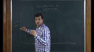 Breathing and Exchange of Gases | Video #2 | Neet Biology | Class 11th Biology Video Lecture (Online Neet Coaching)