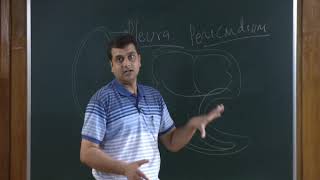 Breathing and Exchange of Gases Class 11th Biology Video Lectures For Neet exam In Delhi NCERT Book CBSE Syllabus Online Neet Coaching