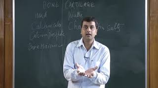 Locomotion and Movement Class 11th Biology Video Lectures For Neet exam In Delhi NCERT Book CBSE Syllabus Online Neet Coaching