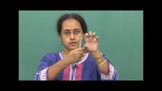 Neural Control and Coordination | Video #3 | Neet Biology | Class 11th Biology Video Lecture (Online Neet Coaching)