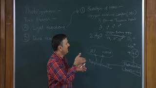 Photosynthesis in Higher Plants Class 11th Biology Video Lectures For Neet exam In Delhi NCERT Book CBSE Syllabus Online Neet Coaching