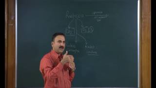 Photosynthesis in Higher Plants Class 11th Biology Video Lectures For Neet exam In Delhi NCERT Book CBSE Syllabus Online Neet Coaching