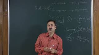 Photosynthesis in Higher Plants Class 11th Biology Video Lectures For Neet exam In Delhi NCERT Book CBSE Syllabus Online Neet Coaching