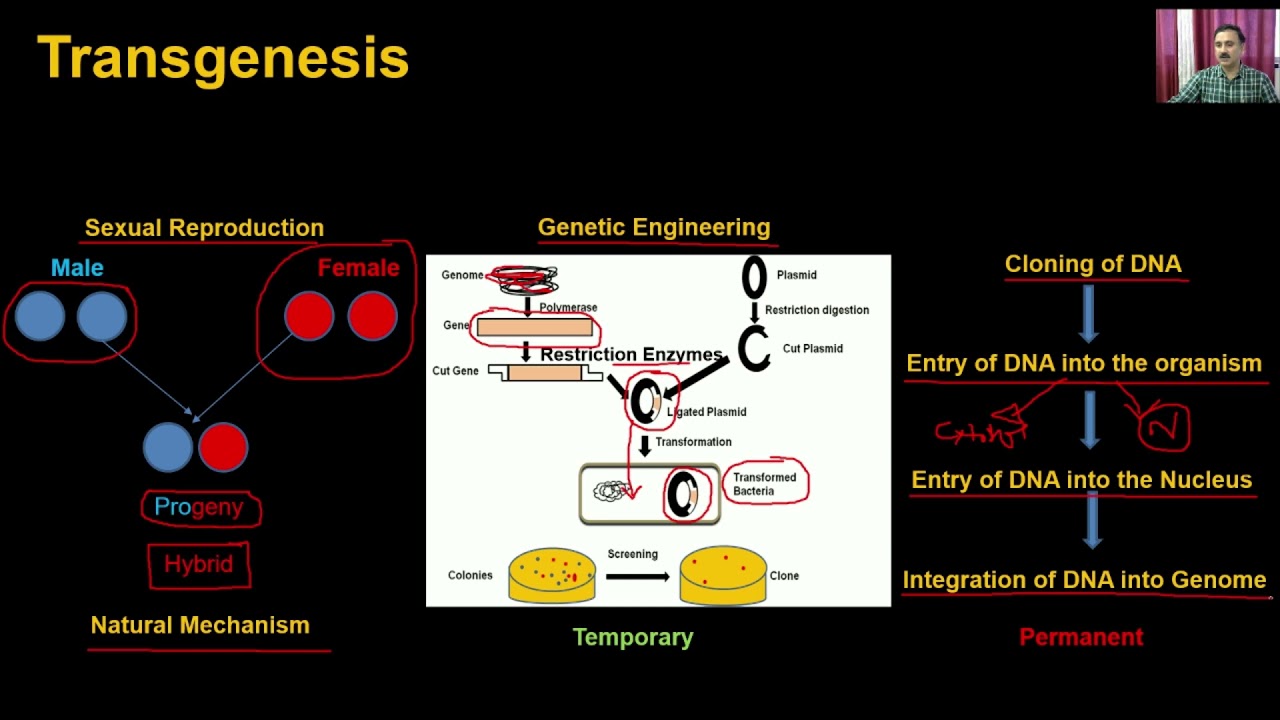 Biotechnology and its Applications-Video Lectures For Class 12 Biology Neet Janakpuri, Delhi-Chemistry Neet Class 12 video, Biology Neet Class 12 video lectures, Biology Neet video lectures for Class 12, Biology Neet video for Class 12, video lectures For Biology Neet Class 12, Biology Neet lectures Class 12, Biology Neet classroom lectures Class 12, best Biology Neet video lectures for Class 12, best Biology Neet lectures for Class 12, grade 12 Biology Neet videos, Class 12 Biology Neet chapter 1 video, Class 12 Biology Neet chapter 2 video, Class 12 Biology Neet chapter 3 video, Biology Neet Class 12 video lectures free download, Biology Neet Class 12 animation video, animation video for Class 12, neet, science, coaching classes, tutors, competitive exam preparation, study center, learning center, best coaching, top coaching, online coaching, offline coaching, Study Material, Books, DVDs, Video Lectures Biotechnology and its Applications-Video Lectures For Class 12 Biology Neet Janakpuri, Delhi-Chemistry Neet Class 12 video, Biology Neet Class 12 video lectures, Biology Neet video lectures for Class 12, Biology Neet video for Class 12, video lectures For Biology Neet Class 12, Biology Neet lectures Class 12, Biology Neet classroom lectures Class 12, best Biology Neet video lectures for Class 12, best Biology Neet lectures for Class 12, grade 12 Biology Neet videos, Class 12 Biology Neet chapter 1 video, Class 12 Biology Neet chapter 2 video, Class 12 Biology Neet chapter 3 video, Biology Neet Class 12 video lectures free download, Biology Neet Class 12 animation video, animation video for Class 12, neet, science, coaching classes, tutors, competitive exam preparation, study center, learning center, best coaching, top coaching, online coaching, offline coaching, Study Material, Books, DVDs, Video Lectures