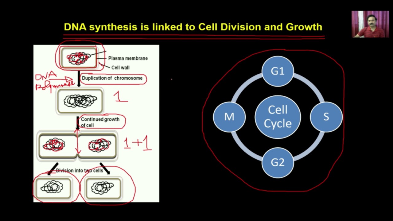 Biotechnology - Principles and Processes-Video Lectures For Class 12 Biology Neet Janakpuri, Delhi-Chemistry Neet Class 12 video, Biology Neet Class 12 video lectures, Biology Neet video lectures for Class 12, Biology Neet video for Class 12, video lectures For Biology Neet Class 12, Biology Neet lectures Class 12, Biology Neet classroom lectures Class 12, best Biology Neet video lectures for Class 12, best Biology Neet lectures for Class 12, grade 12 Biology Neet videos, Class 12 Biology Neet chapter 1 video, Class 12 Biology Neet chapter 2 video, Class 12 Biology Neet chapter 3 video, Biology Neet Class 12 video lectures free download, Biology Neet Class 12 animation video, animation video for Class 12, neet, science, coaching classes, tutors, competitive exam preparation, study center, learning center, best coaching, top coaching, online coaching, offline coaching, Study Material, Books, DVDs, Video Lectures