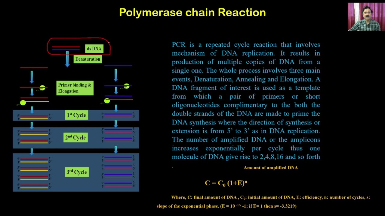 Biotechnology Principles and Processes Class 12th Biology Video Lectures For Neet exam In Delhi NCERT Book CBSE Syllabus Online Neet Coaching