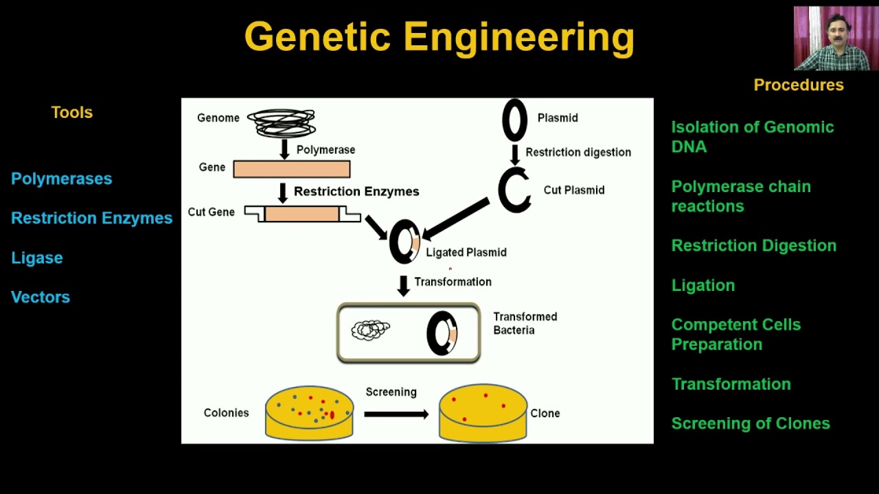 Biotechnology Principles and Processes Class 12th Biology Video Lectures For Neet exam In Delhi NCERT Book CBSE Syllabus Online Neet Coaching