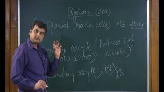 Human Reproduction | Video #3 | Neet Biology | Class 12th Biology Video Lecture (Online Neet Coaching)