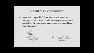 Molecular Basis of Inheritance Class 12th Biology Video Lectures For Neet exam In Delhi NCERT Book CBSE Syllabus Online Neet Coaching