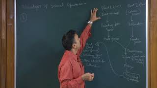 Sexual Reproduction in Flowering Plants-Video Lectures For Class 12 Biology Neet Janakpuri, Delhi-Chemistry Neet Class 12 video, Biology Neet Class 12 video lectures, Biology Neet video lectures for Class 12, Biology Neet video for Class 12, video lectures For Biology Neet Class 12, Biology Neet lectures Class 12, Biology Neet classroom lectures Class 12, best Biology Neet video lectures for Class 12, best Biology Neet lectures for Class 12, grade 12 Biology Neet videos, Class 12 Biology Neet chapter 1 video, Class 12 Biology Neet chapter 2 video, Class 12 Biology Neet chapter 3 video, Biology Neet Class 12 video lectures free download, Biology Neet Class 12 animation video, animation video for Class 12, neet, science, coaching classes, tutors, competitive exam preparation, study center, learning center, best coaching, top coaching, online coaching, offline coaching, Study Material, Books, DVDs, Video Lectures