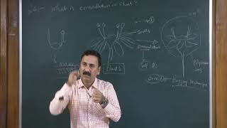 Sexual Reproduction in Flowering Plants Class 12th Biology Video Lectures For Neet exam In Delhi NCERT Book CBSE Syllabus Online Neet Coaching