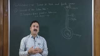 Sexual Reproduction in Flowering Plants Class 12th Biology Video Lectures For Neet exam In Delhi NCERT Book CBSE Syllabus Online Neet Coaching