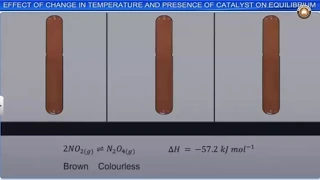 Equilibrium Part-2 Class 11th Chemistry Animated Video Lectures For Neet exam In Delhi NCERT Book CBSE Syllabus Online Neet Coaching